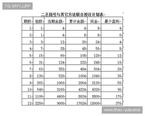 总统娱乐场的优惠政策详解，帮助玩家合理规划投注策略实现最大盈利